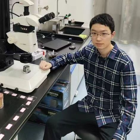 Phd 2